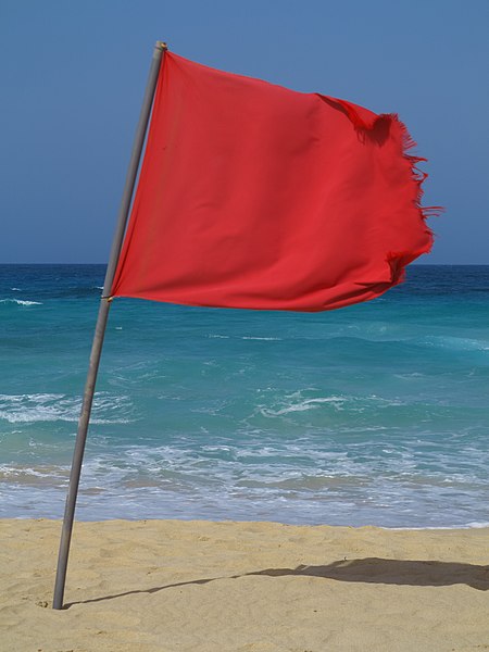Red Flags investing